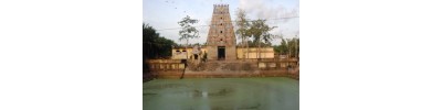 10. திருபல்லவனீச்சரம்